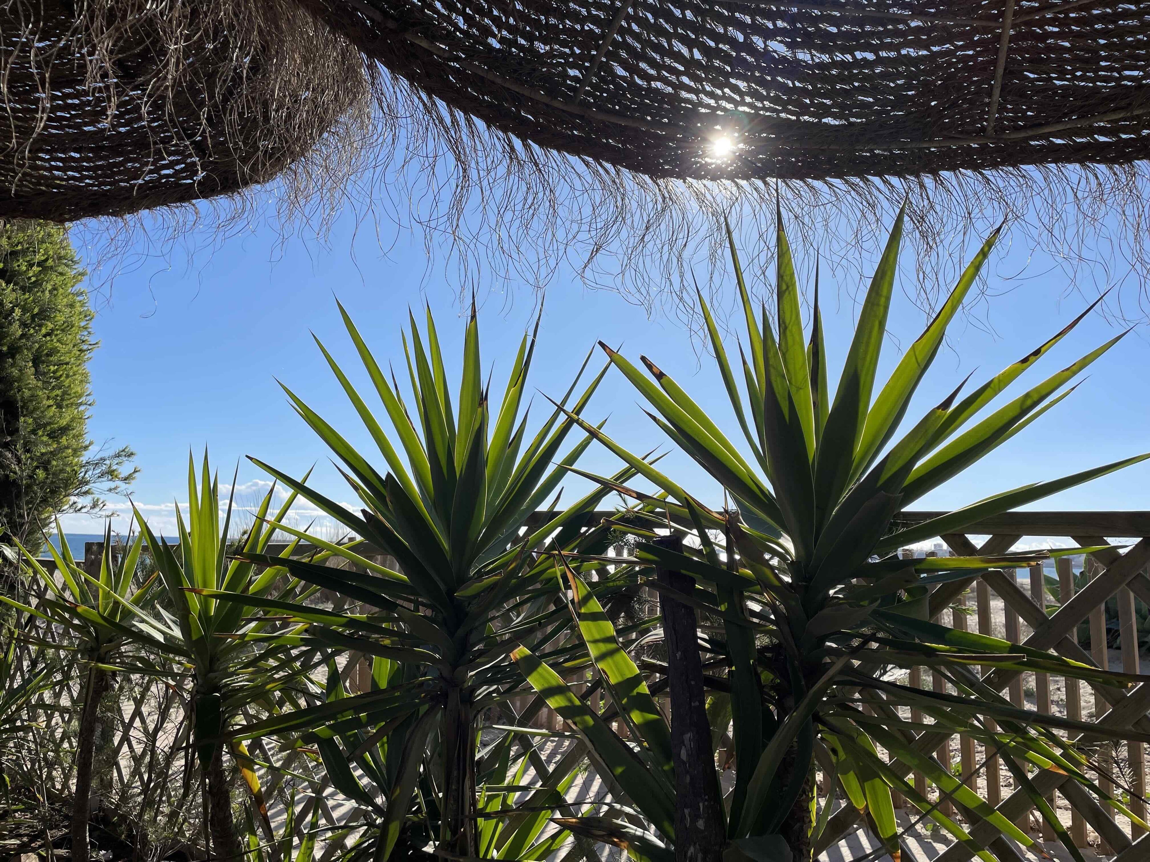 Blick vom Strandcafé aus aufs Meer