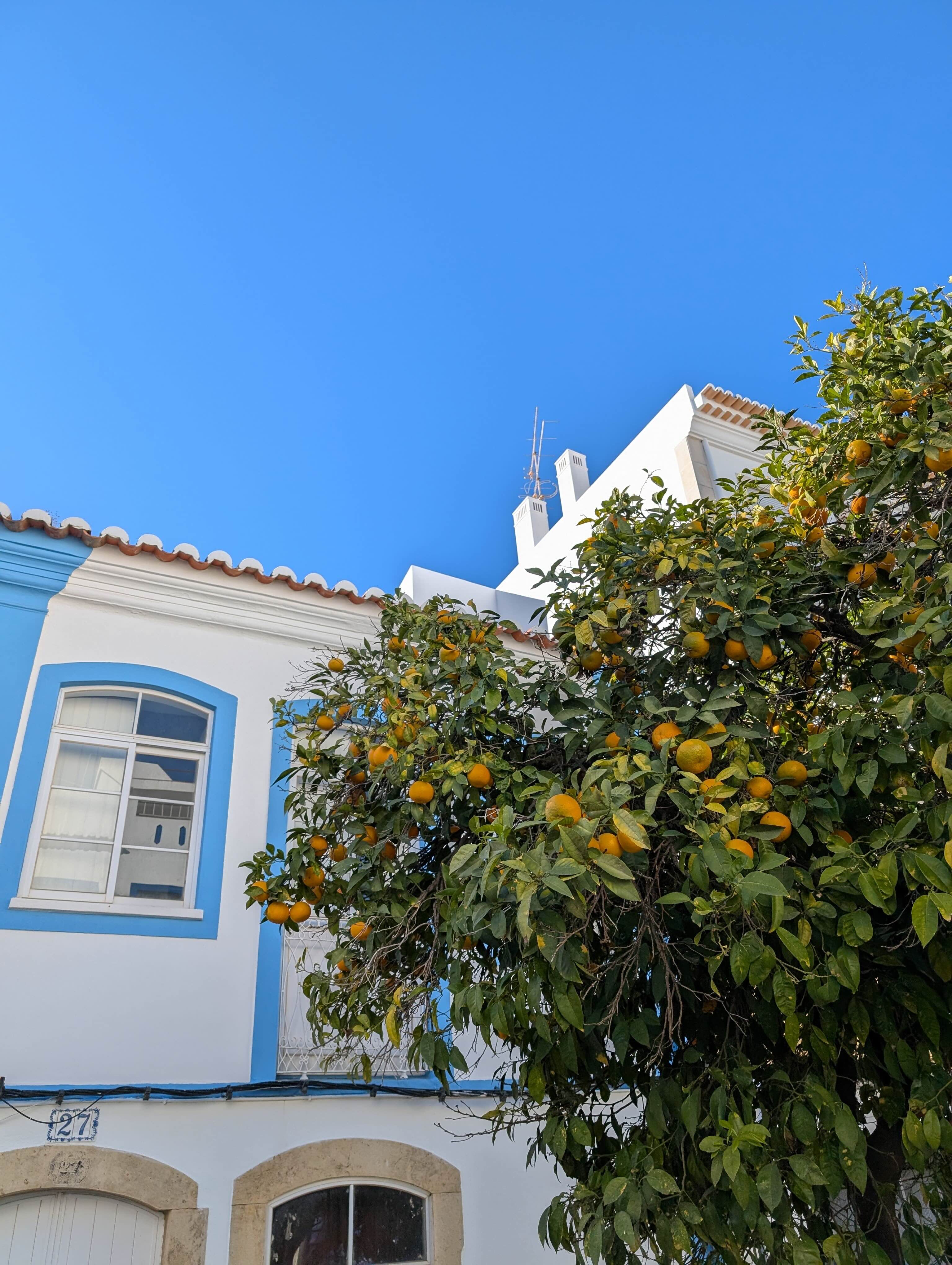 Haus mit Orangenbaum in der Altstadt von Lagos